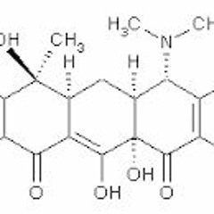 Fratelenord - Mihai Şi Alex Şi Tony