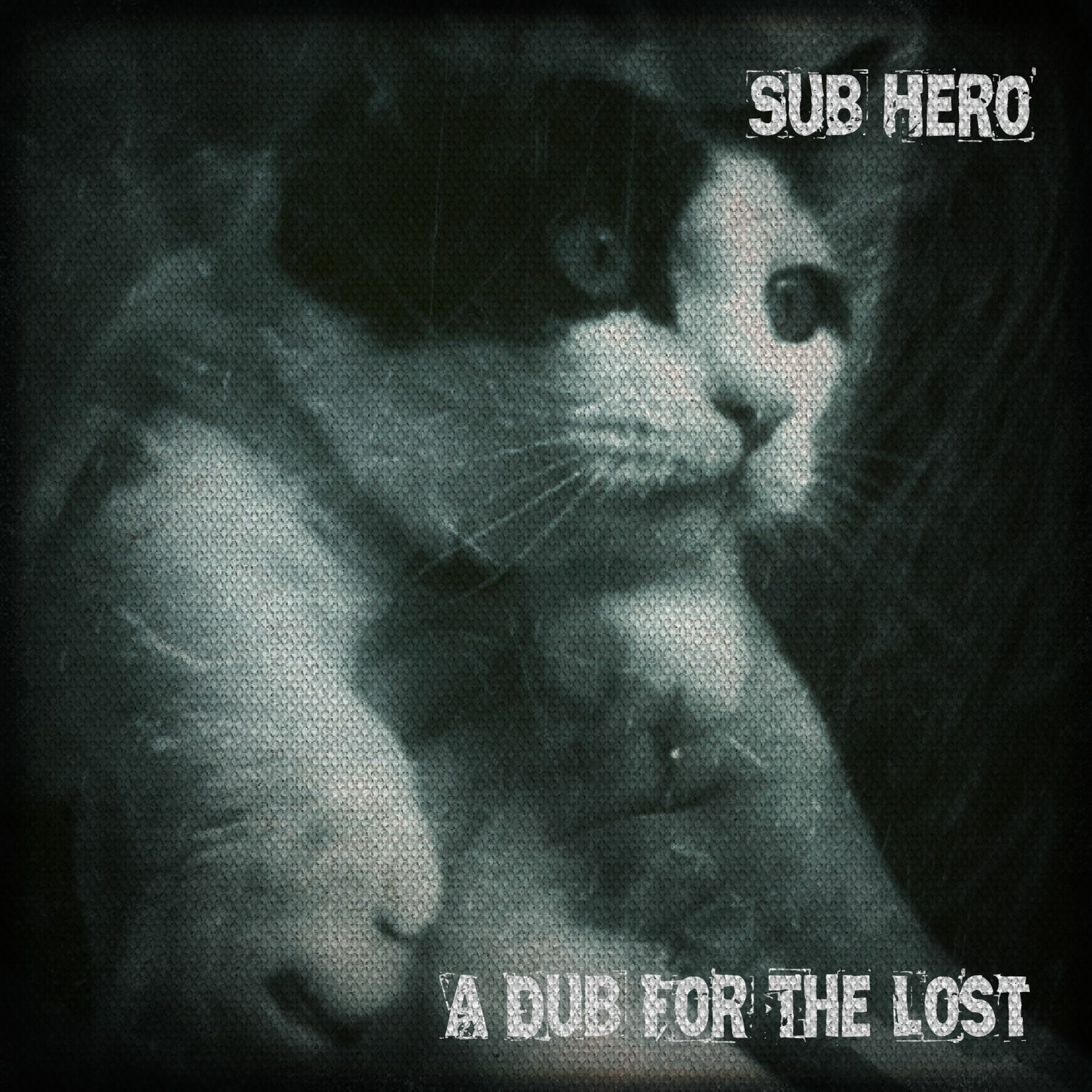 A Dub For The Lost episode artwork