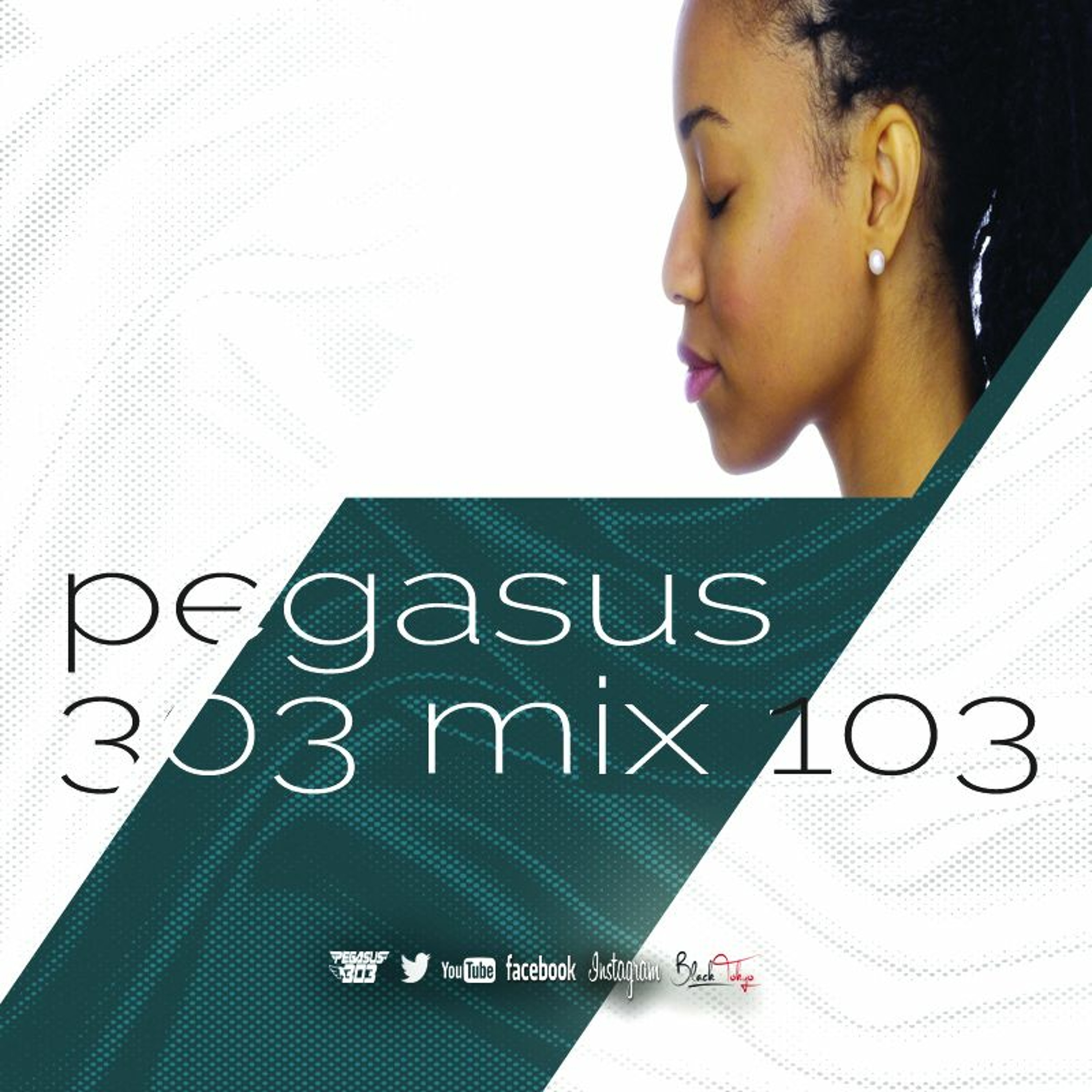 Pegasus 303 (mrclean)
