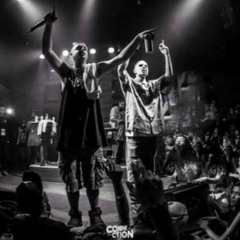Costa Gold - 155 (prod Lotto)