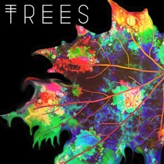 Jahkobi & Francis - Trees (prod. Mr. Archer)