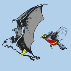 Blackbird