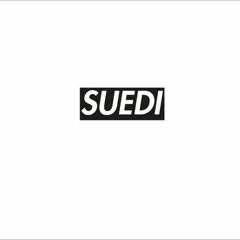 Erik Lundin - Suedi (VBDFR rip)