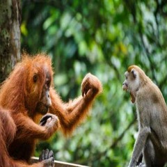 Seans Mix for Isabella!