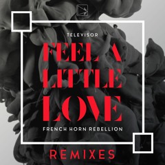 Televisor & French Horn Rebellion - Feel A Little Love (NeZoomie Remix)