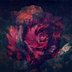 stream playlist