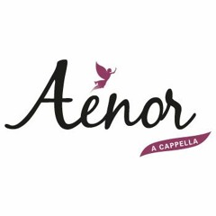 The River Sings - Enya's song cover