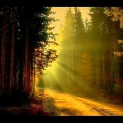 Ya Nafsu (Poem) Recited By Shaykh Abdal Hakim Murad
