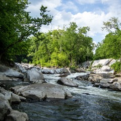 Vivaldi's Summer - Remix