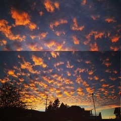 All Medicine From Forthcoming Album -Asthmaddict