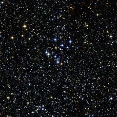 Untitled (Neverending Song)