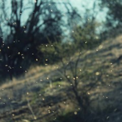 A mi canto ... versión en vivo...Concierto el Grito de la Tierra