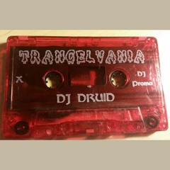 Trancelvania - Chicago DJ Matt Druid - Mix Tape