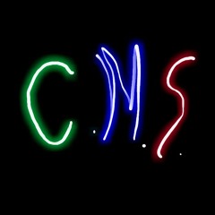 C.M.S. -  Wells Fargo