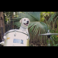 DirtyBiology - Faites des enfants avec vos cousins