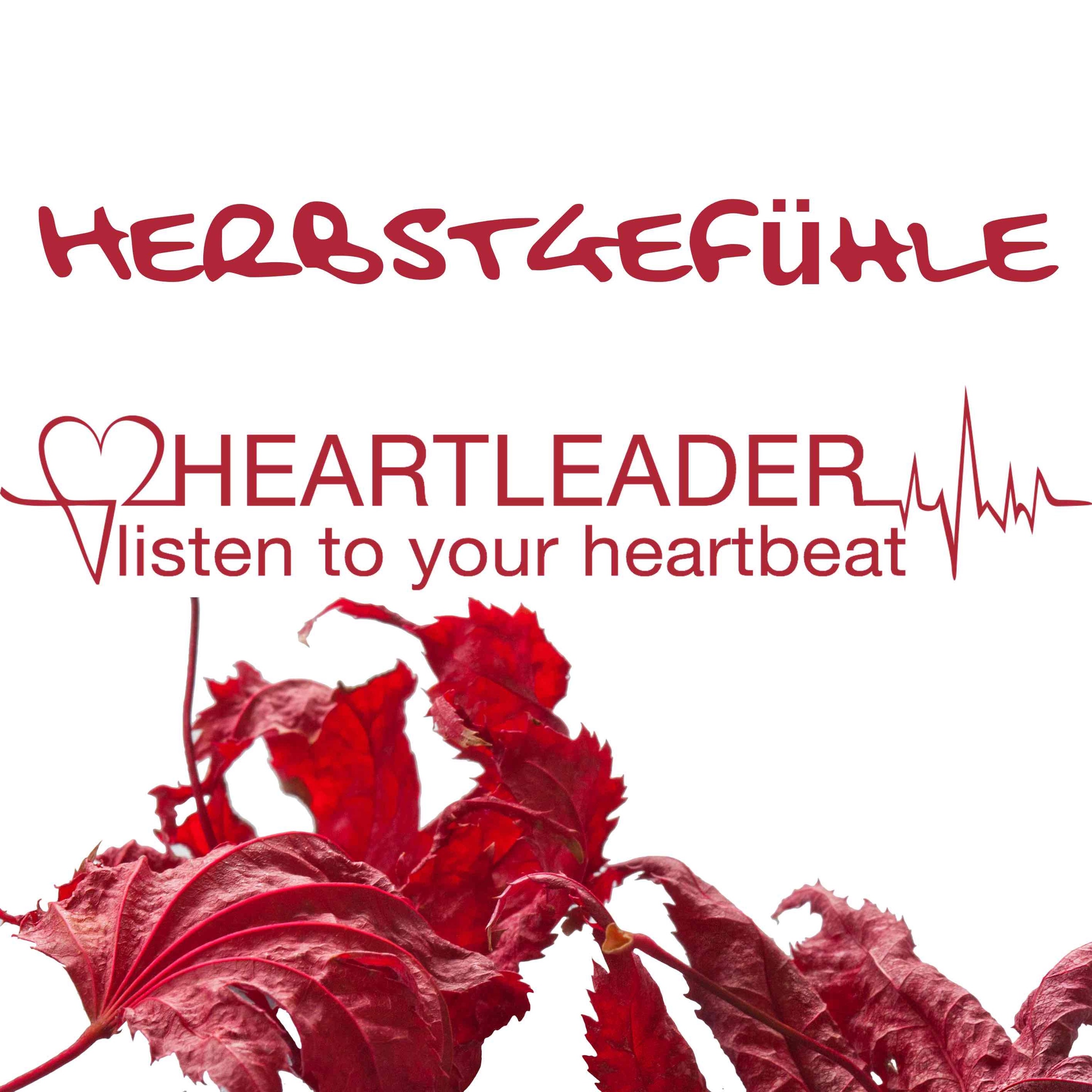 Liveset 022 - Herbstgefühle (Live @ Kili Club) episode artwork