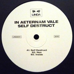 In Aeternam Vale - Non
