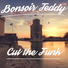 Bonsoir Teddy - Cut The Funk