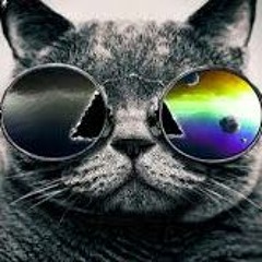 Forget About The Bounce