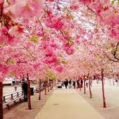 A Town With An Ocean View Kiki S Delivery Service - Joe Hisaishi