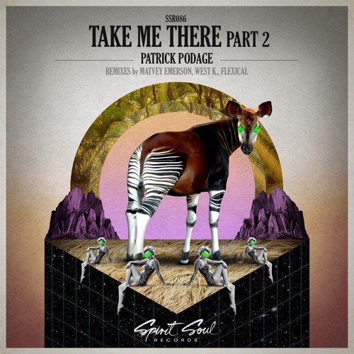 Patrick Podage - Take Me There (West.K Remix).