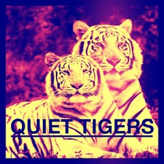 QUIET TIGERS - A night out