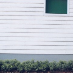 Terlalu Lama Sendiri