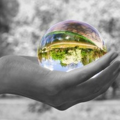 Famous, Nice One, Phönix - Eigene Welt