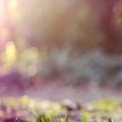 Moriko - Взрослее