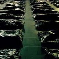 Sb Squeeze Shot Gam & Scalen Buck - Body Bags