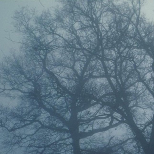 Erutan - Winter Moon