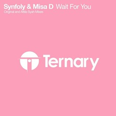 Synfoly & Misa D - Wait For You (Original Mix)