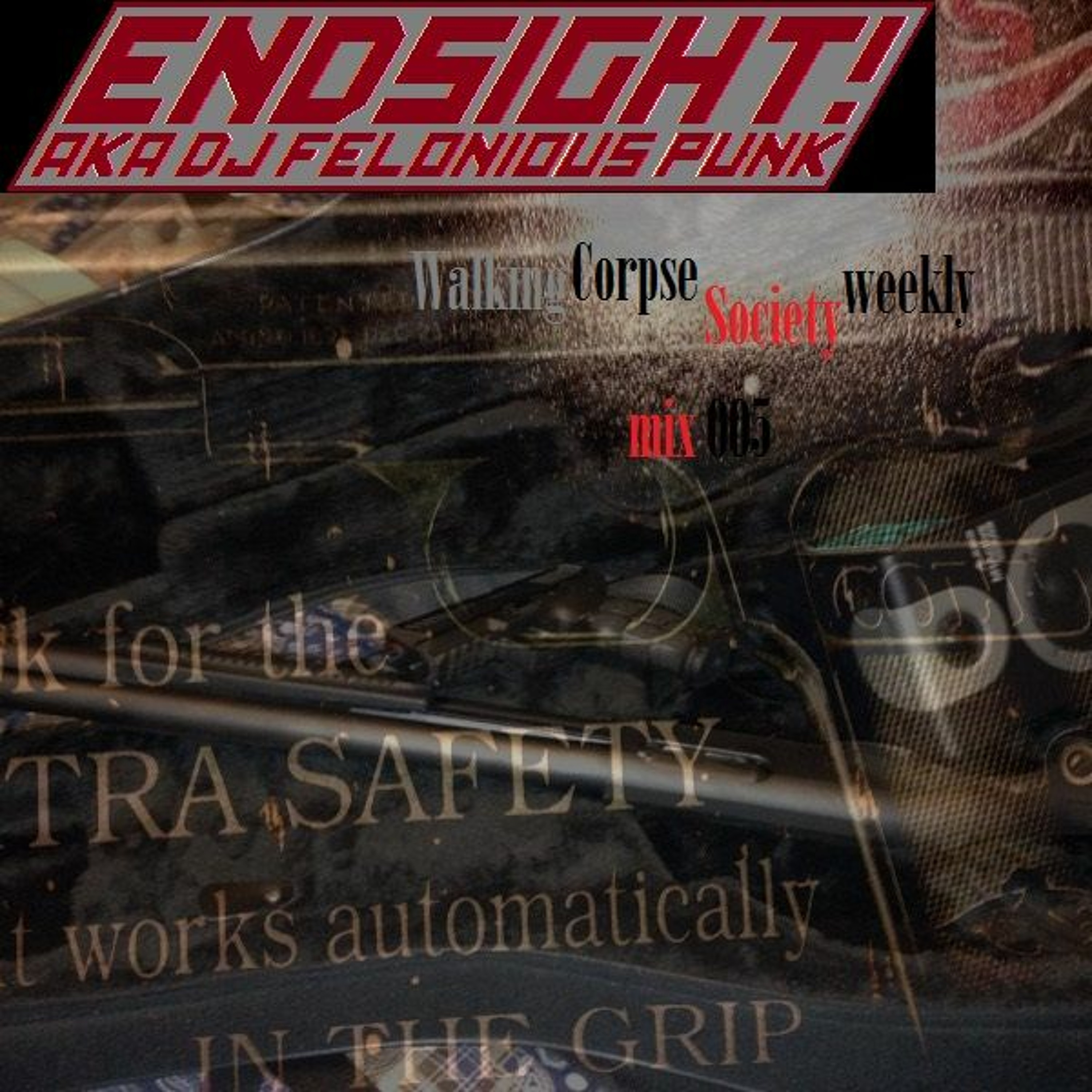 ENDSIGHT! / AY
