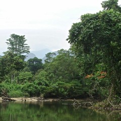 Borneo