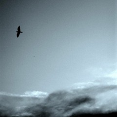 Ballad of a Fool(2015 demo)