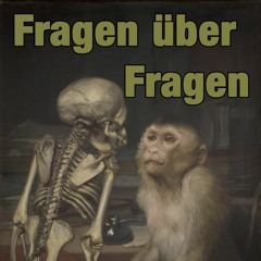 Fragen über Fragen