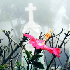 Estrelas do Terceiro Mundo