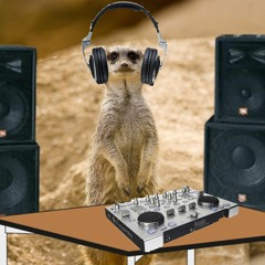 Homme Ouiza Classique Inezate Filde