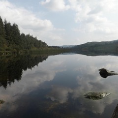 Seize The Day - Avenged Sevenfold (Cover)