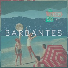 Barbantes - Marine