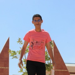 الخُلاصه