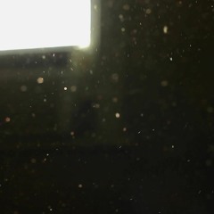 As the Dust Rises (guqin/mixed ensemble)