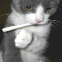 SPARK THIS JOINT UP FOR ME ION GOT THUMBS HAHAHA