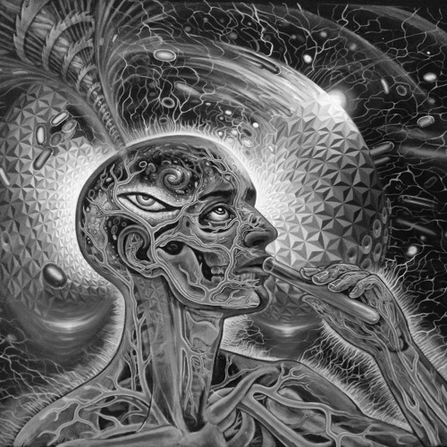 hipπesoup - Hashmock Hole Soliloquies