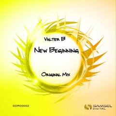 Valter B - New Beginning (Original Mix)
