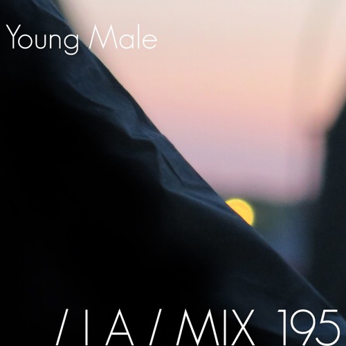 IA MIX 195 Young Male