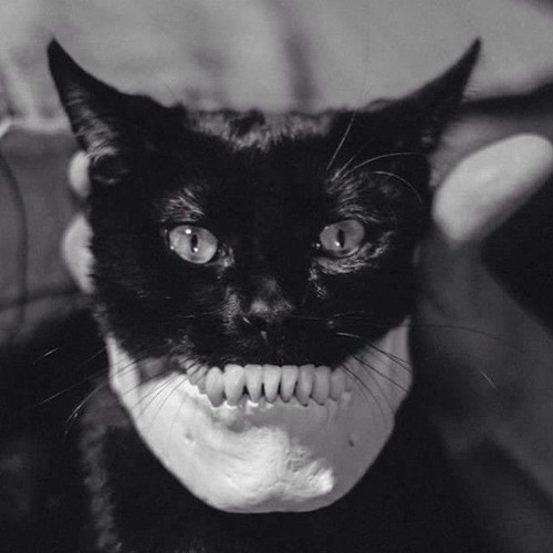 techno