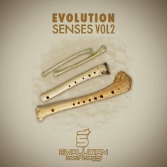 David Sainz - Airplane (Orignal Mix) [EVOLUTION SENSES RECORDS]