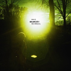 Prcls - Life Goes On Without You