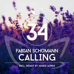 Fabian Schumann - Calling e.p.